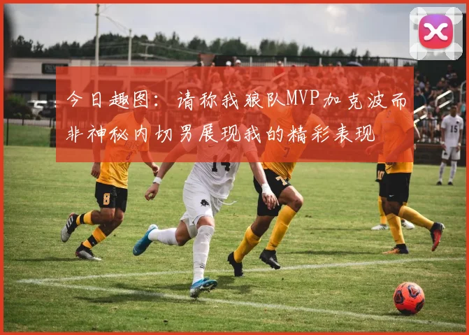 今日趣图：请称我狼队MVP加克波而非神秘内切男展现我的精彩表现